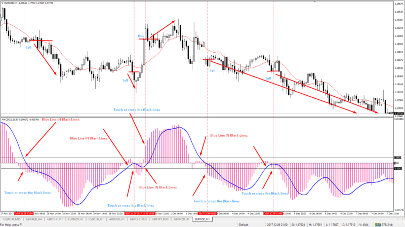 Myfxea Scalp