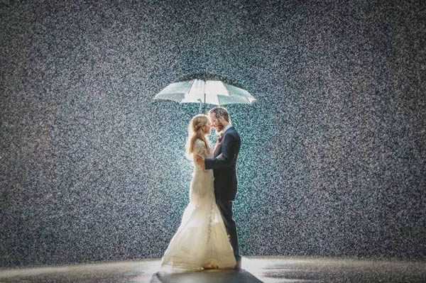magical wedding photo