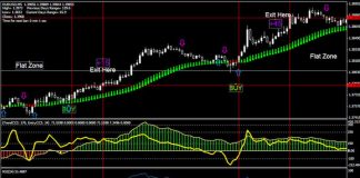 Double helix system forex
