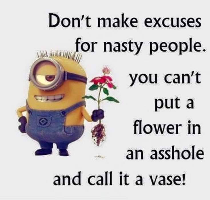 Funny Minions Quotes girl in despicable me