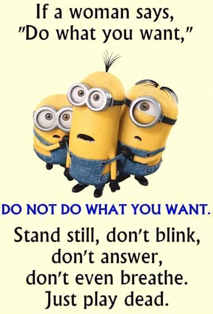 40 Funny Minions Quotes with Images - SliControl.Com