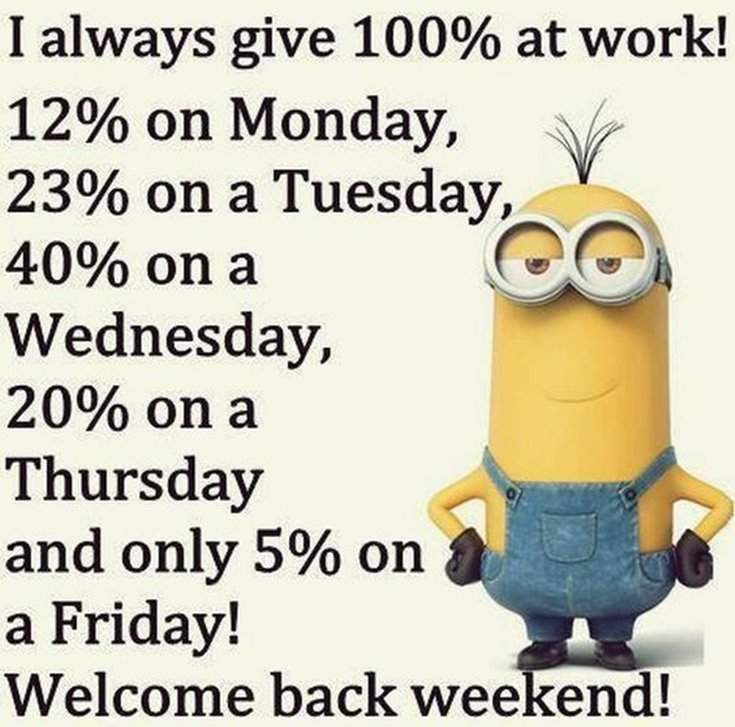 22 Gru's Plan Meme Template Funny minion quotes, Startup quotes, Memes