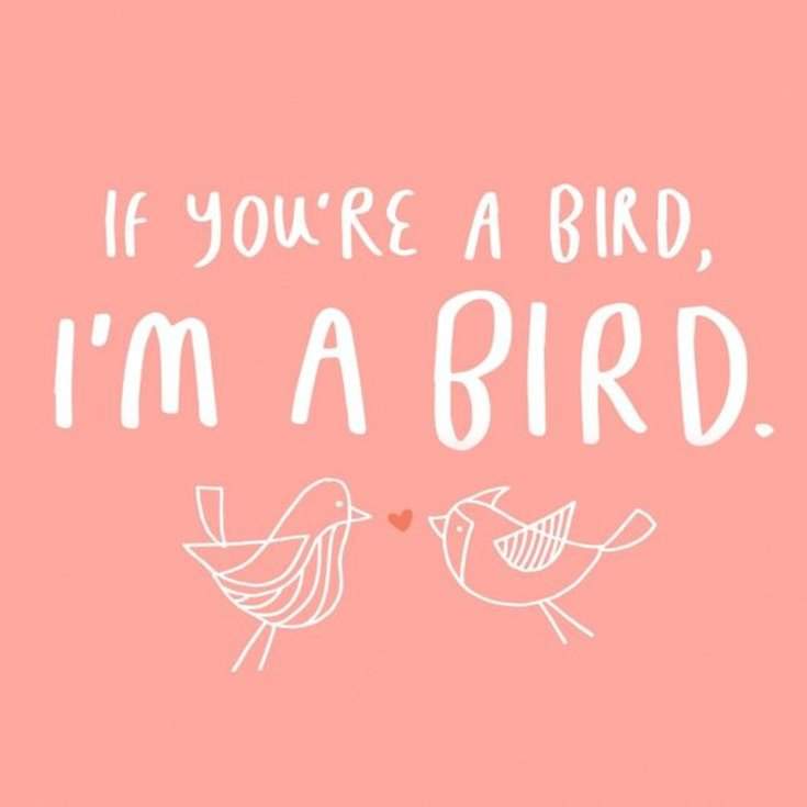 50 Cute Valentines Day Quotes Messages 30 50 Cute Valentines Day Quotes Messages 30