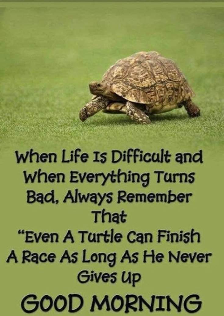 147 Motivational Quotes And Inspirational Sayings To Inspire Success 046