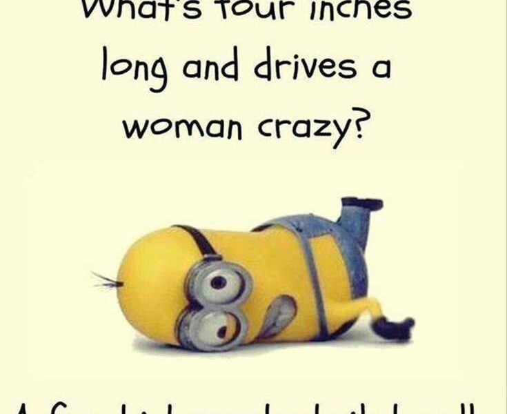 45 Funny Minions Quotes and Pics