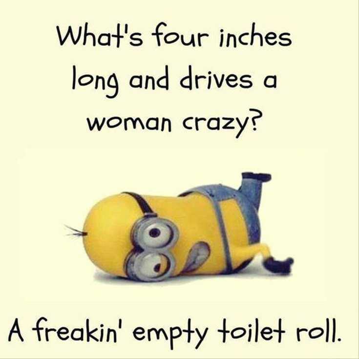 45 Funny Minions Quotes and Pics 22