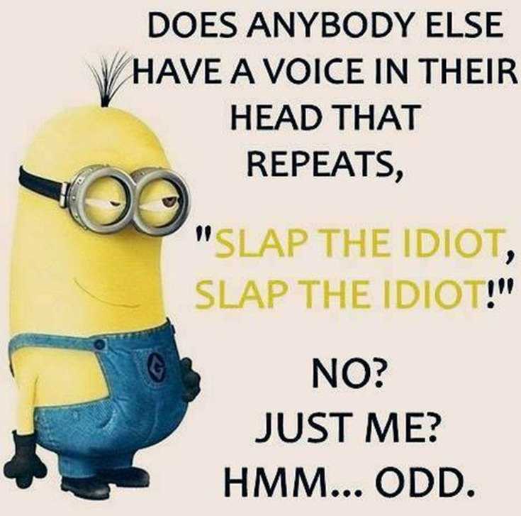 45 Funny Minions Quotes and Pics 23