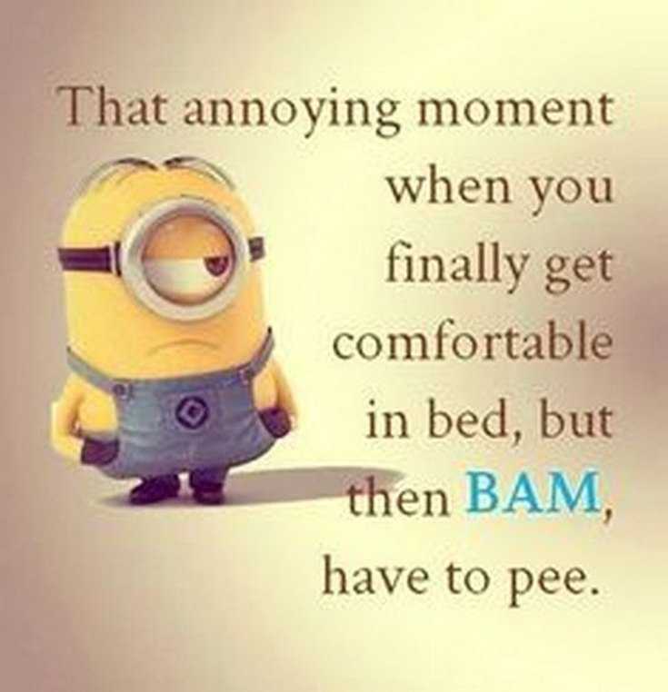 45 Funny Minions Quotes and Pics 32