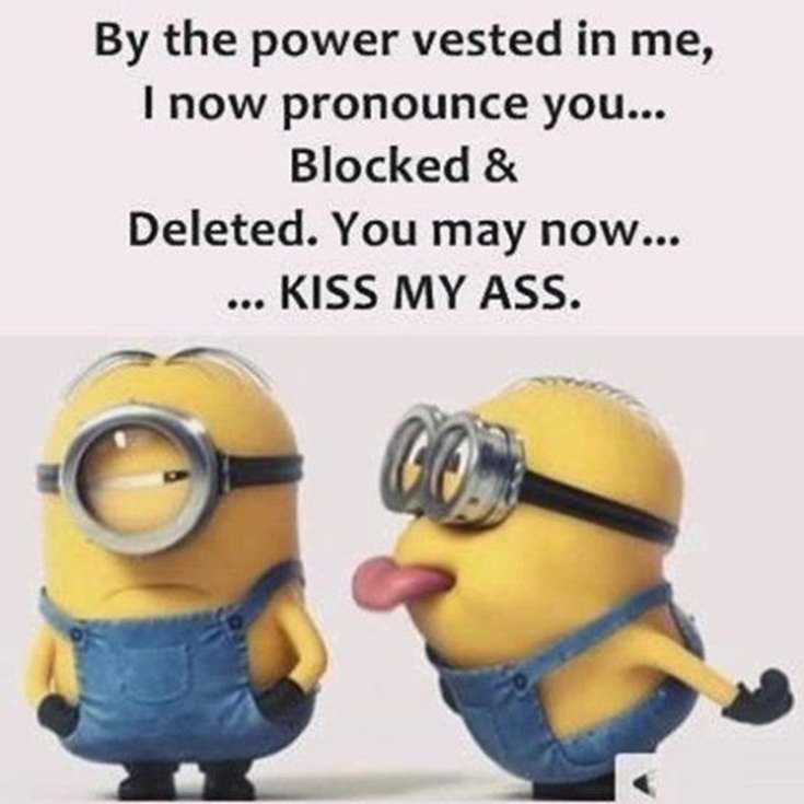 45 Funny Minions Quotes and Pics 36
