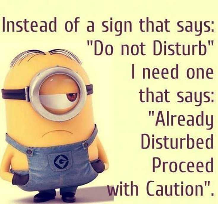 45 Funny Minions Quotes and Pics 39