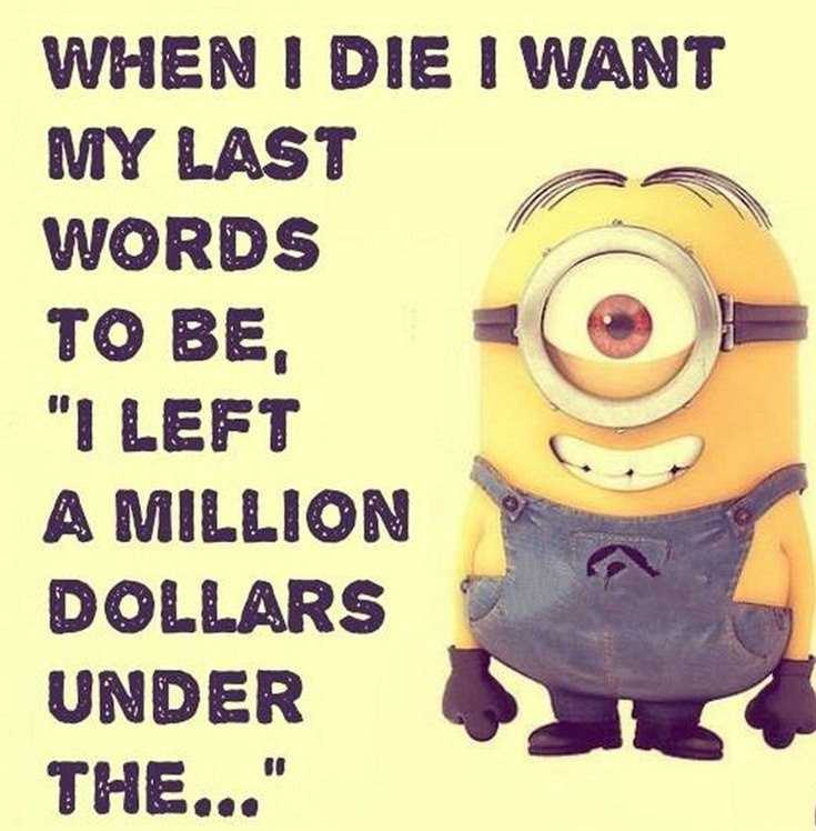 45 Funny Minions Quotes and Pics 7