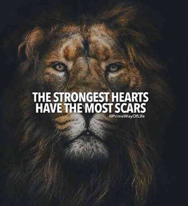 145 Motivational Quotes And Inspirational Sayings To Inspire Success 068