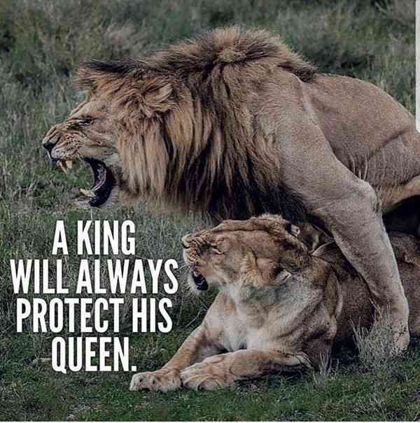 145 Motivational Quotes And Inspirational Sayings To Inspire Success 110