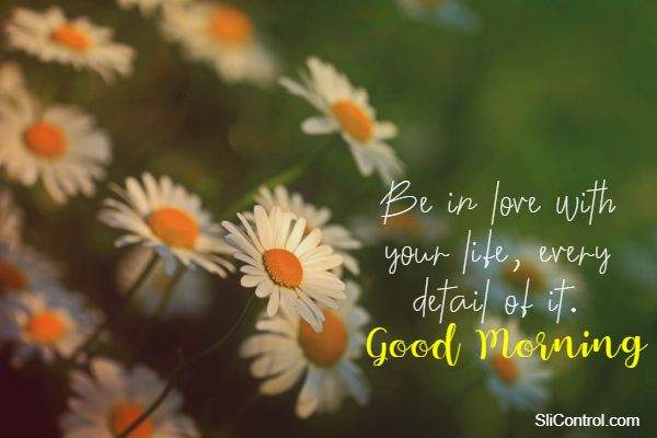 good morning love messages with images