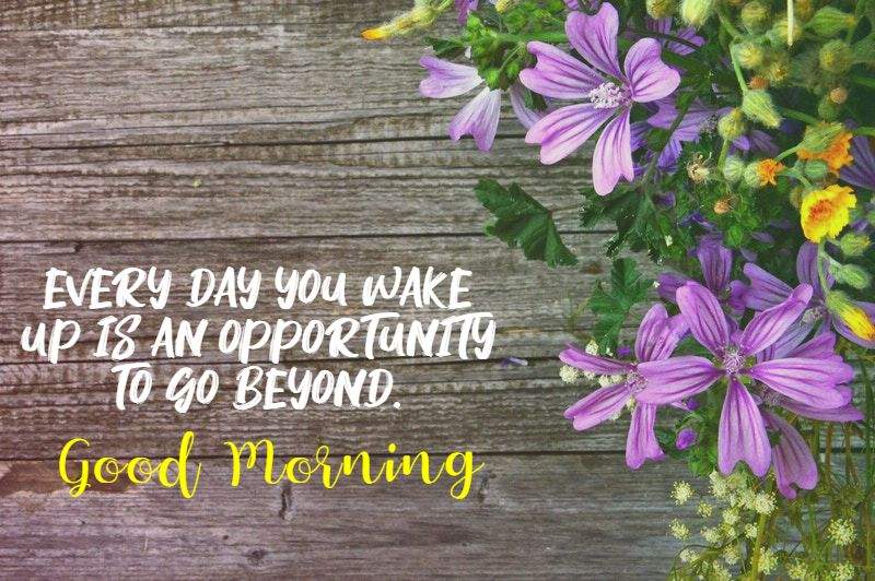 56+ Good Morning Messages, Wishes & Quotes