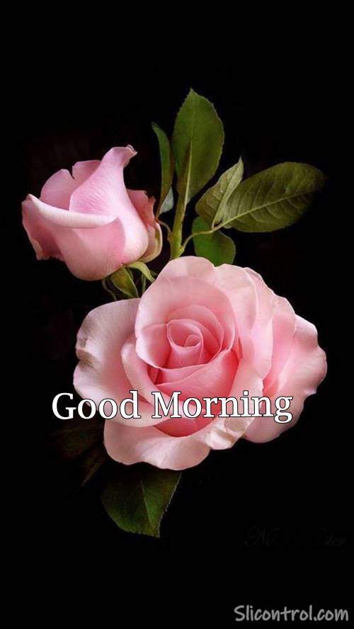 good morning picture with flowers