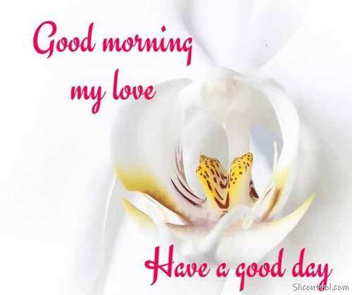 good morning wishes my love good morning love messages 10