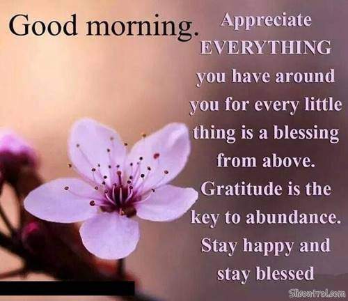 good morning wishes my love good morning love messages 29