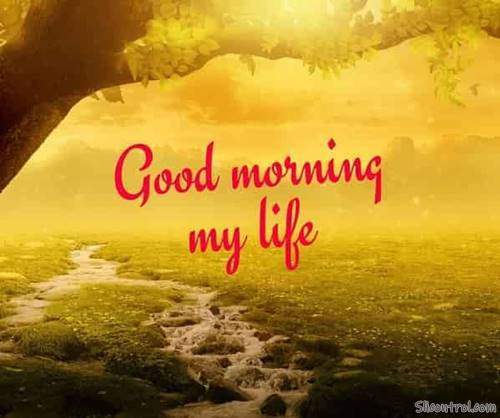 good morning wishes my love good morning love messages 32