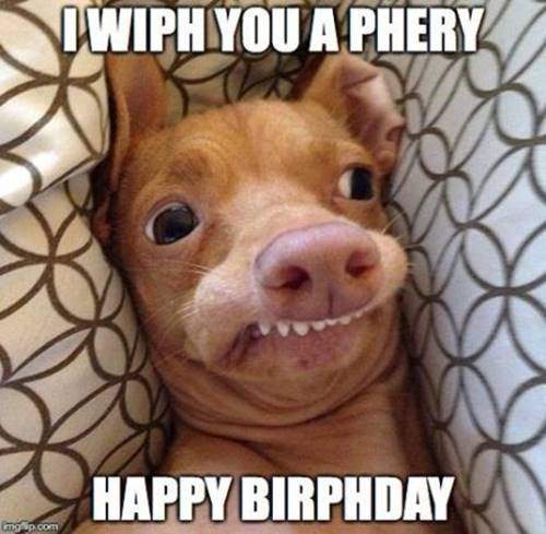 happy birthday meme 41