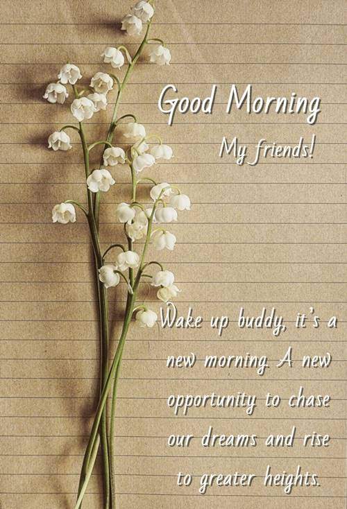 Cute Images with Good Morning Messages for Friends