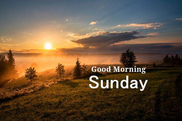 28 Good Morning Sunday Messages Quotes with Images