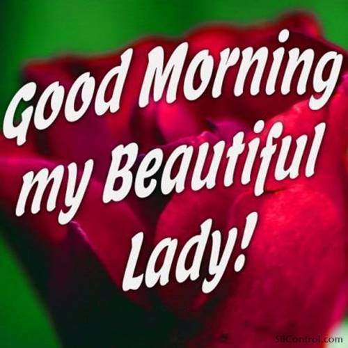 good morning exotic flowers