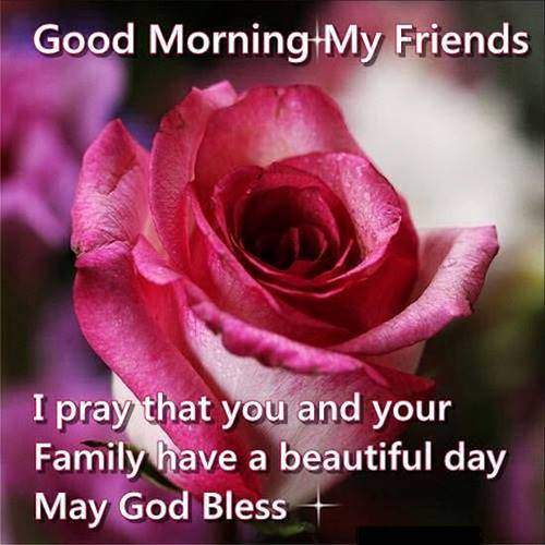 good morning message for friends good morning flower