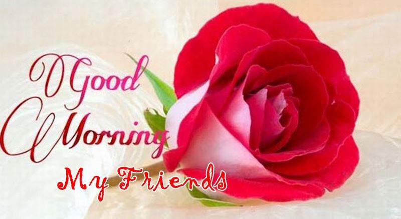 35 Good Morning Message For Friends