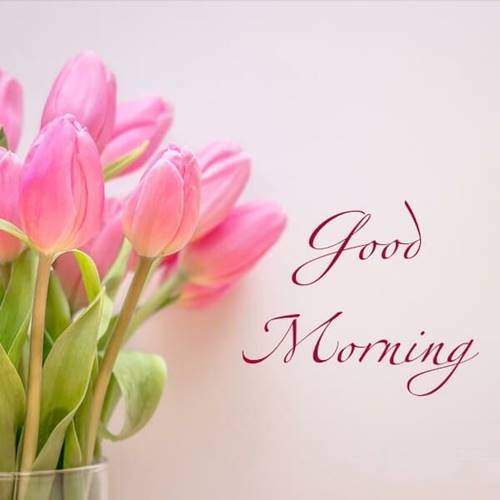 lovely good morning wishes with flowers flower pics