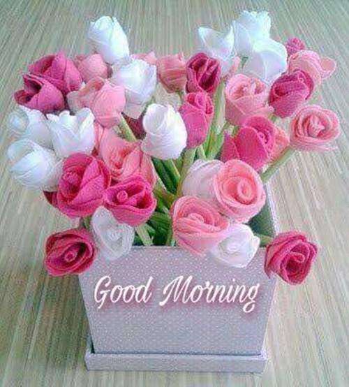 lovely good morning wishes with flowers good morning flower hd images