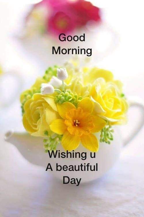 lovely good morning wishes with flowers good morning quotes text