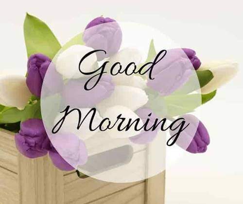 lovely good morning wishes with flowers good morning wishes for a friend