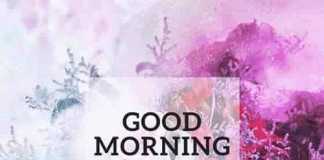 lovely good morning wishes with flowers lovely wishes