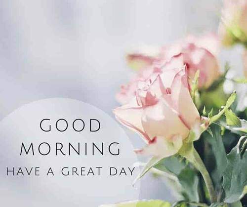 lovely good morning wishes with flowers quotes gif
