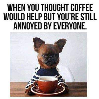 40 Funny good morning coffee quotes with images 2