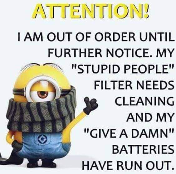 42 Best Funny Jokes Minions Quotes With funny minion saying despicable me minions quotes