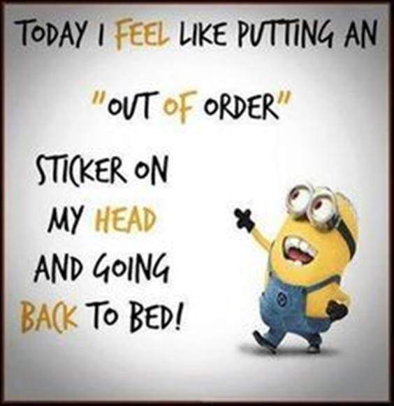 42 Best Funny Jokes Minions Quotes With Images 3