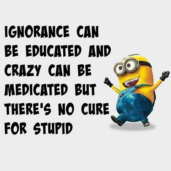 42 Best Funny Jokes Minions Quotes With Images 37
