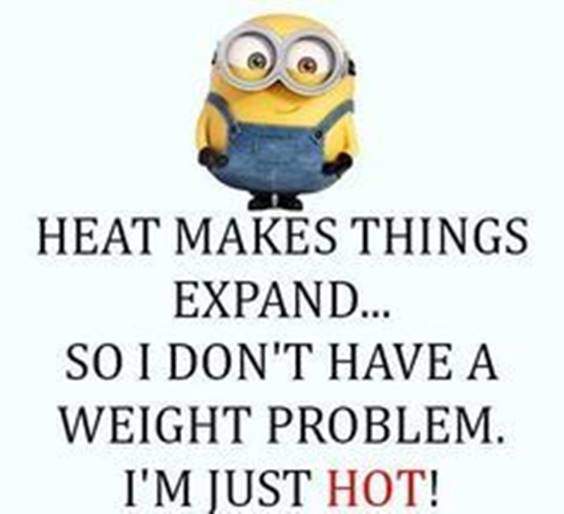 42 Best Funny Jokes Minions Quotes With Images 49