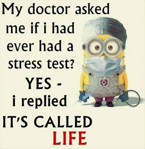 42 Best Funny Jokes Minions Quotes minion quotes from despicable me minions sayings funny 