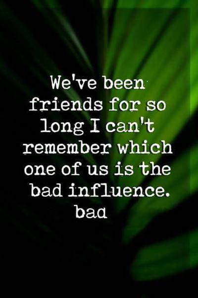 60 Best Crazy funny quotes about friendship and funny friendship sayings friendship humor