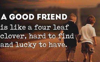 60 Best Crazy best friend sarcasm quotes one line for friend funny appreciation quotes