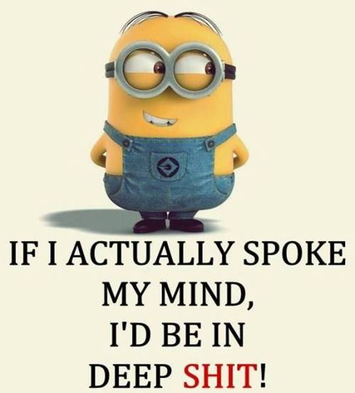 35 Fun Minion Quotes Of The Week 18