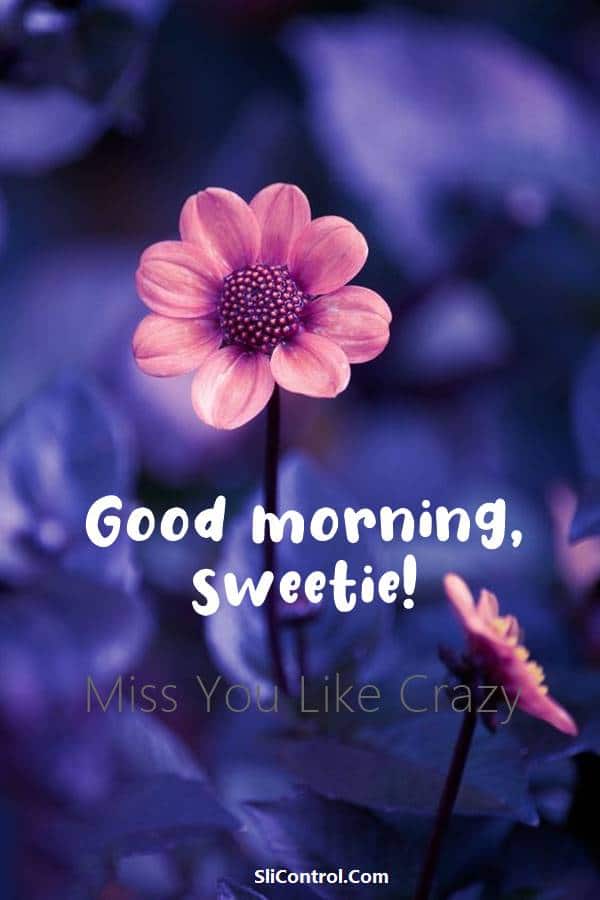 80 Romantic Good Morning Messages for Her 1 80 Romantic Good Morning Messages for Her | good morning love, good morning messages for her, good morning my queen