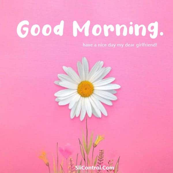 80 Romantic Good Morning Messages for Her 15 80 Romantic Good Morning Messages for Her | cute good morning texts, good morning love messages for girlfriend, good morning msg