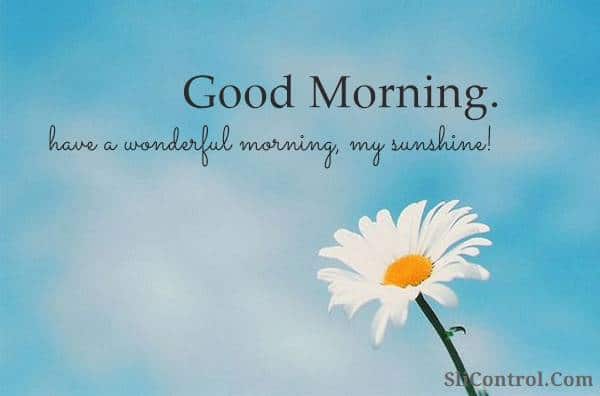 80 Romantic Good Morning Messages for Her 17 80 Romantic Good Morning Messages for Her | beautiful good morning, good morning sweetheart i love you, morning text messages