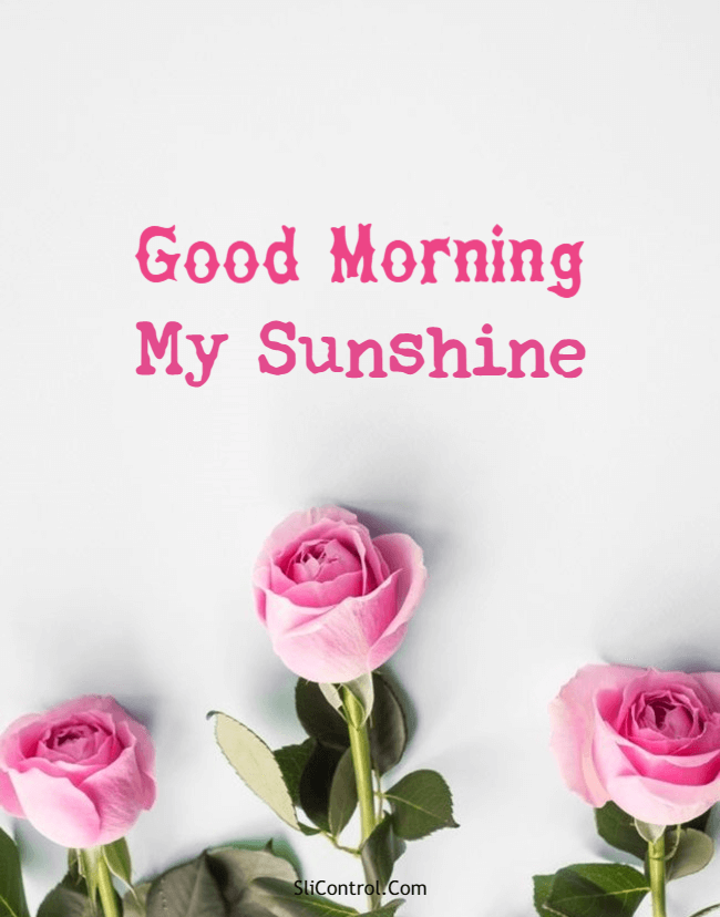 good morning love quotes