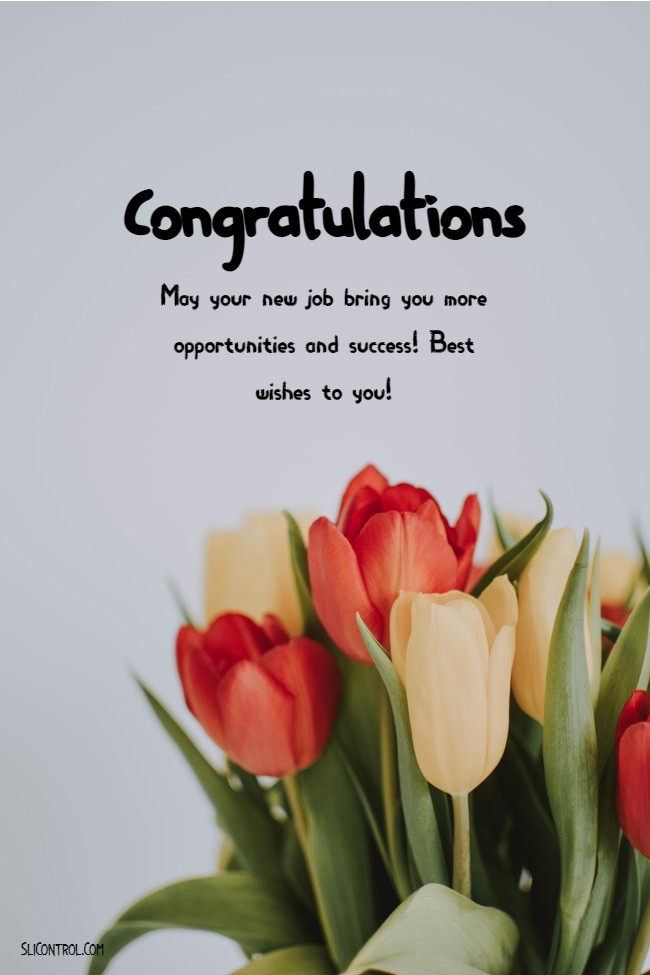 congratulations on your new position message