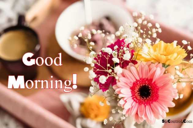 145 CUTEST Good Morning Text Messages Wishes & Quotes - SliControl.Com